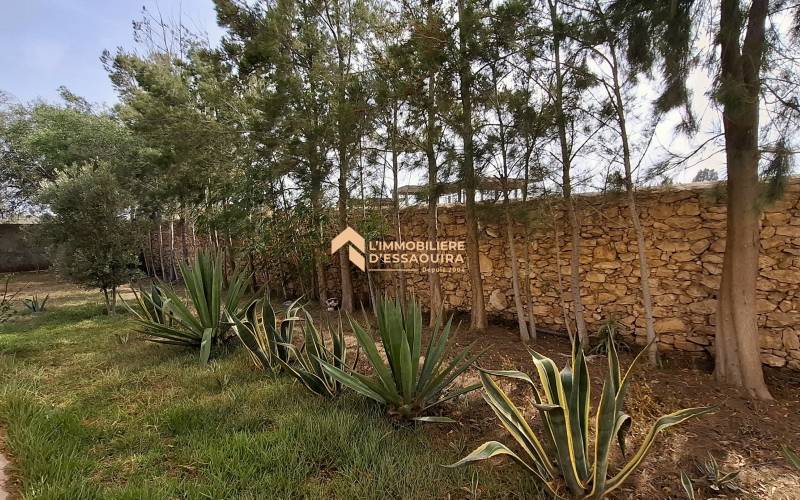 2 ch_Douar Laarab (29)